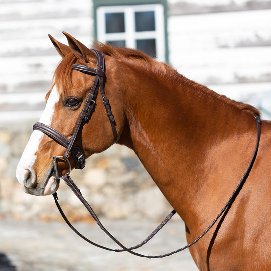 Equinavia Valkyrie Pony Fancy Stitched Bridle image 