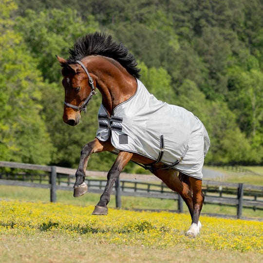 Equinavia Gard Fly Sheet image 