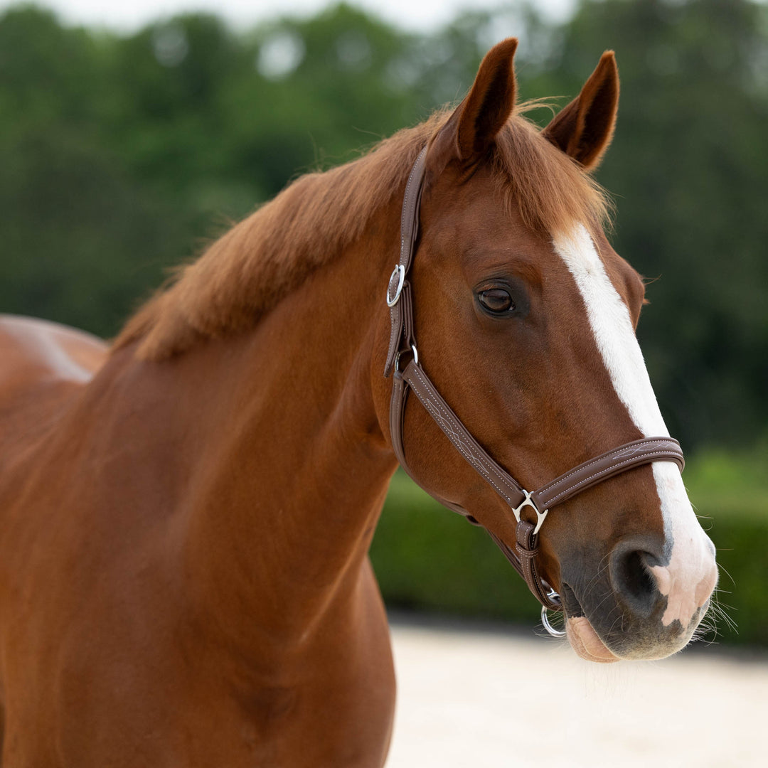 Horze Warren Soft Leather Halter image 