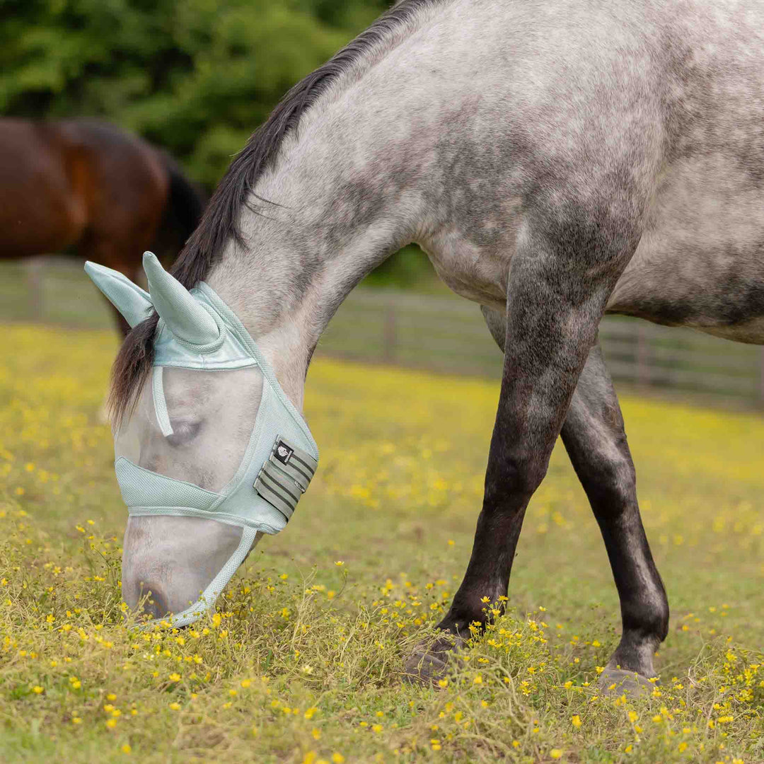 Equinavia Algard Soft Mesh Long Nose Fly Mask image #1