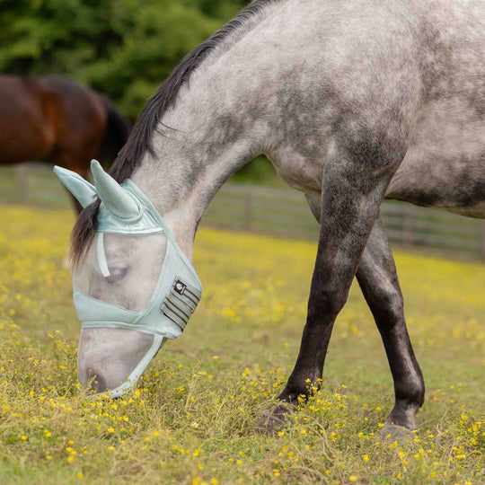 Equinavia Algard Soft Mesh Long Nose Fly Mask image 