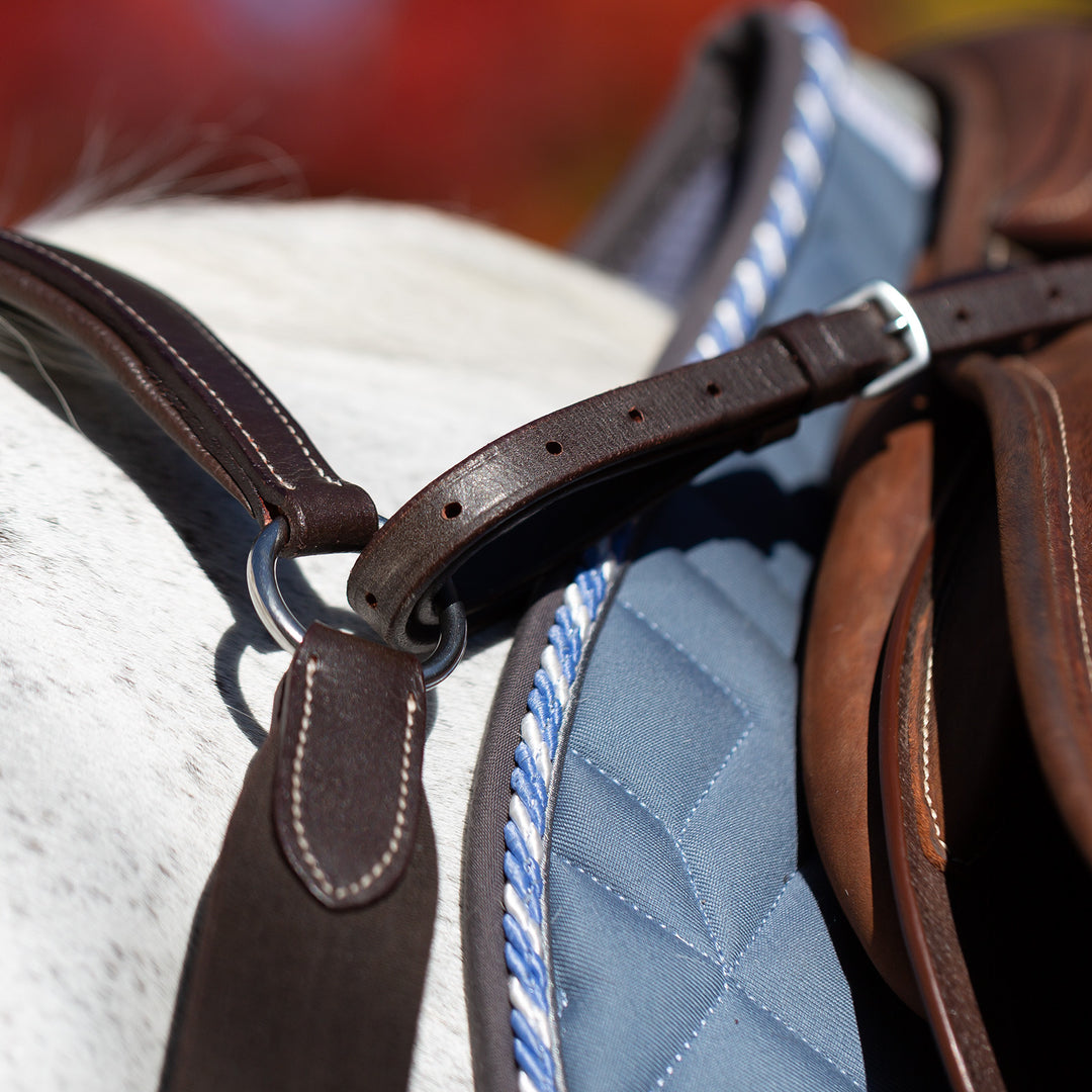 Equinavia Saga 5-point Breastplate image 