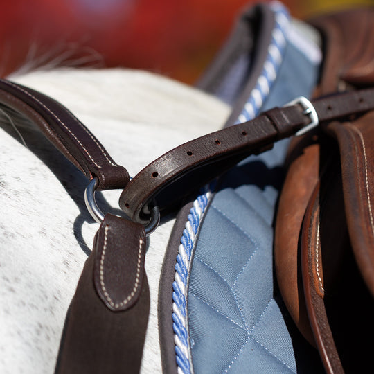 Equinavia Saga 5-point Breastplate image 