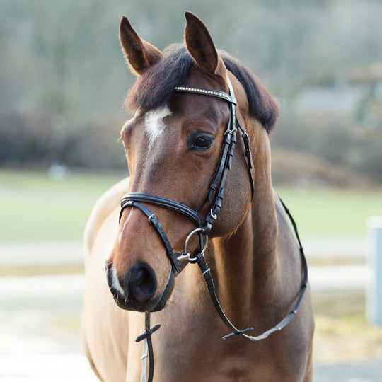 Horze Weston Flash Bridle w/ Reins image 