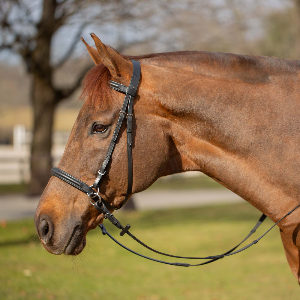 Equinavia Saga Bitless Bridle image #2
