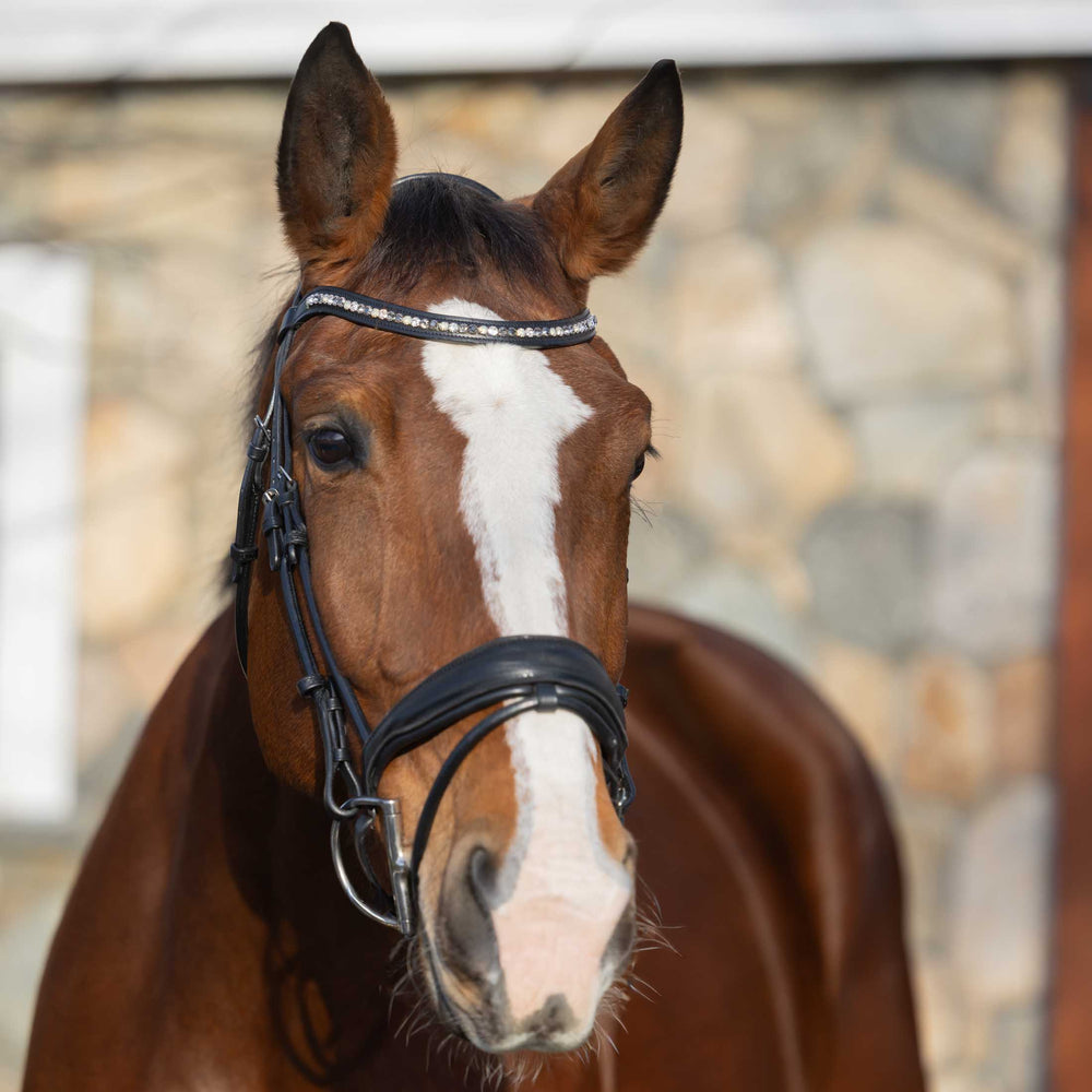 Horze Montrose Dressage Bridle image #2