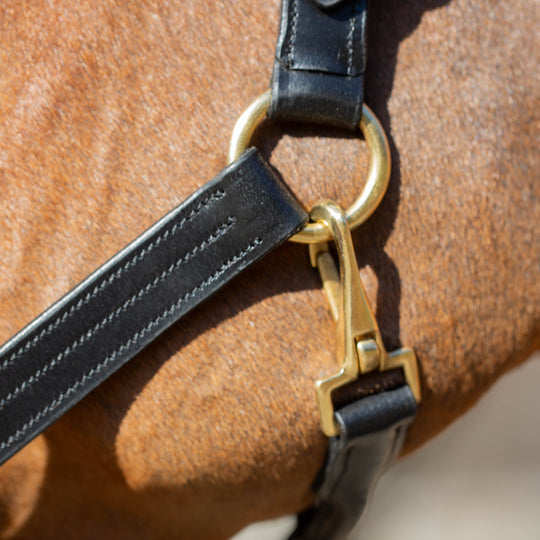Equinavia Valkyrie Classic Leather Halter image 