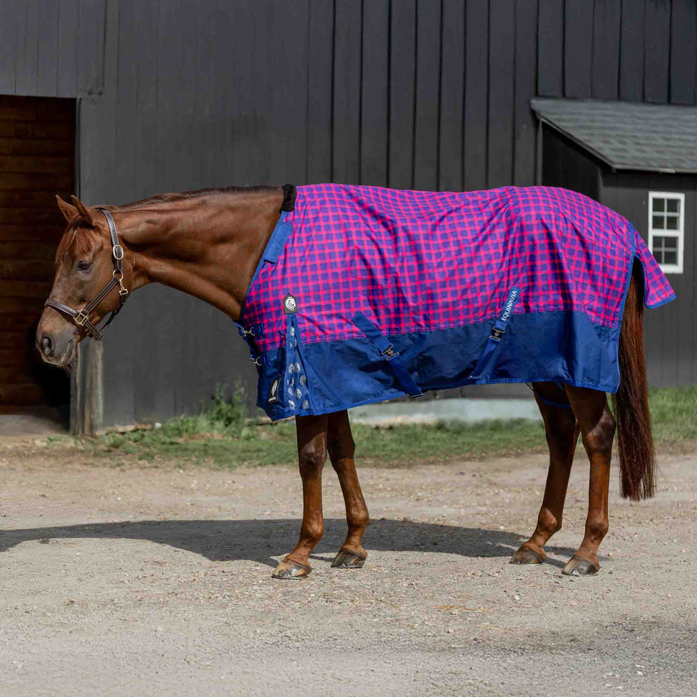 Equinavia Norse Light Weight Turnout Blanket 100g image #1