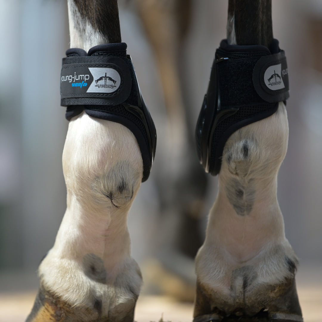 Veredus Young Jump Vento Rear Fetlock Boots image 