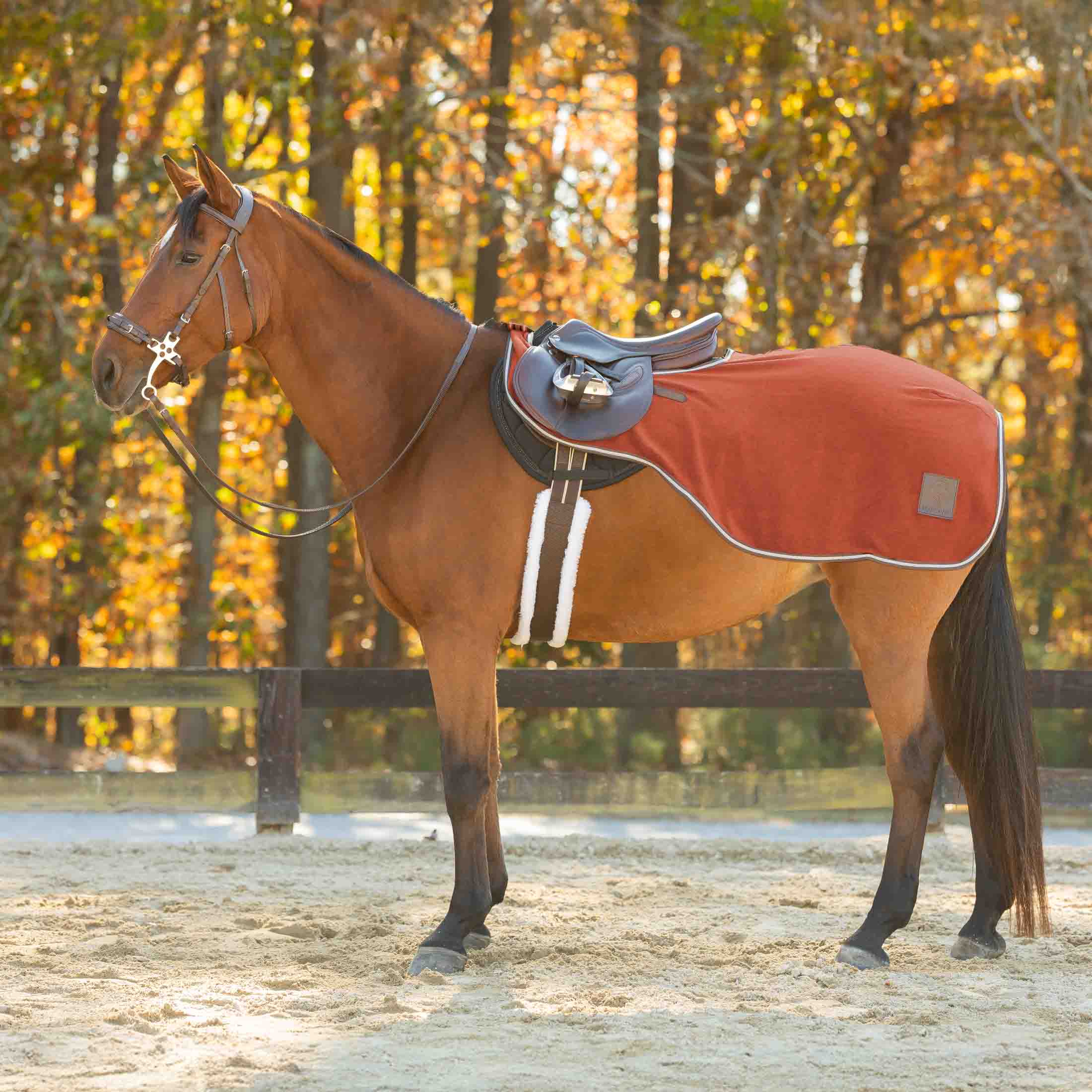 Equinavia Norse Fleece Quarter Sheet image #1