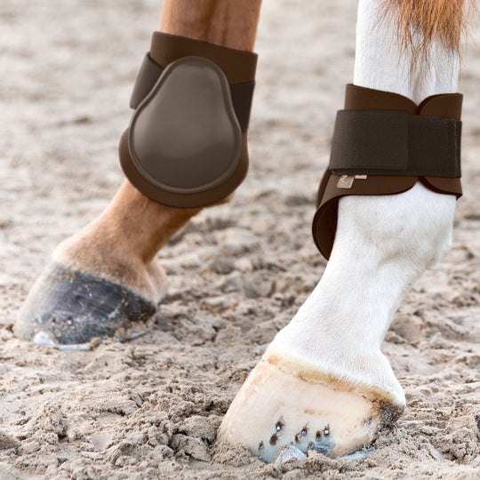 Horze Chicago Fetlock Hind Horse Boots image 