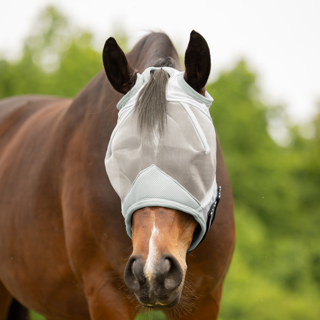 Equinavia Algard Soft Mesh Earless Fly Mask image 