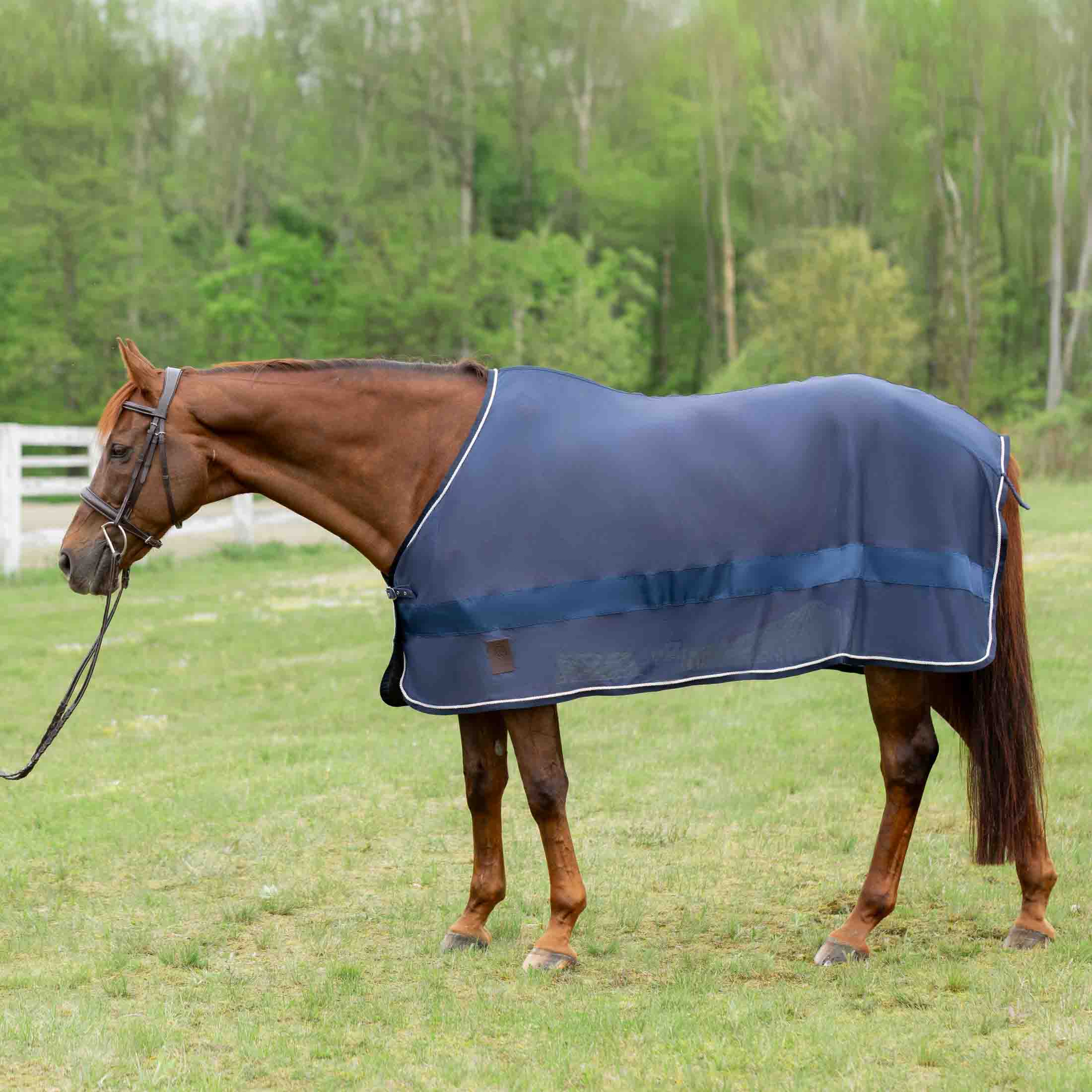 Equinavia Sol Ringside Scrim Sheet image #1