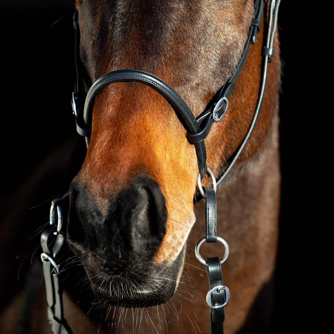 Horze Leather Bitless Bridle image 