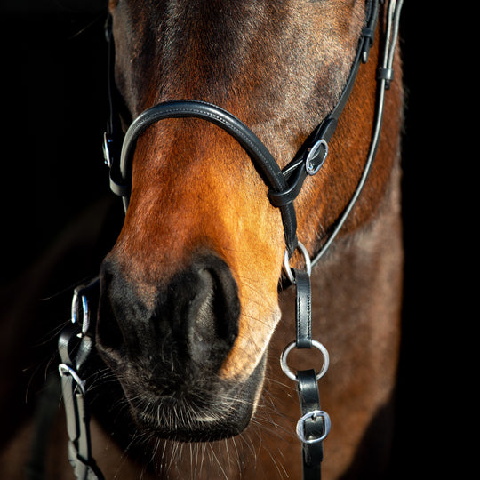 Horze Leather Bitless Bridle image 