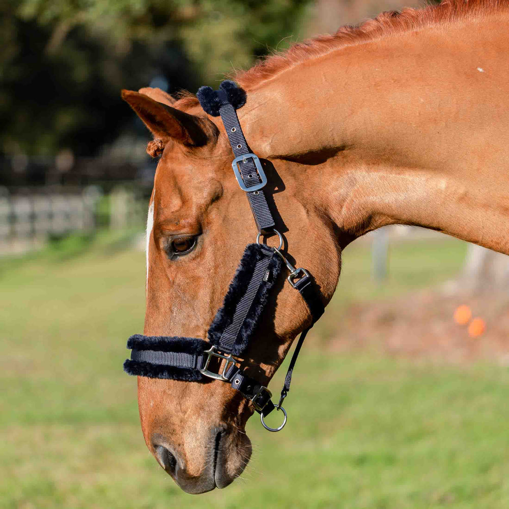 Equinavia Valkyrie Ultra Fleece Breakaway Halter image #2