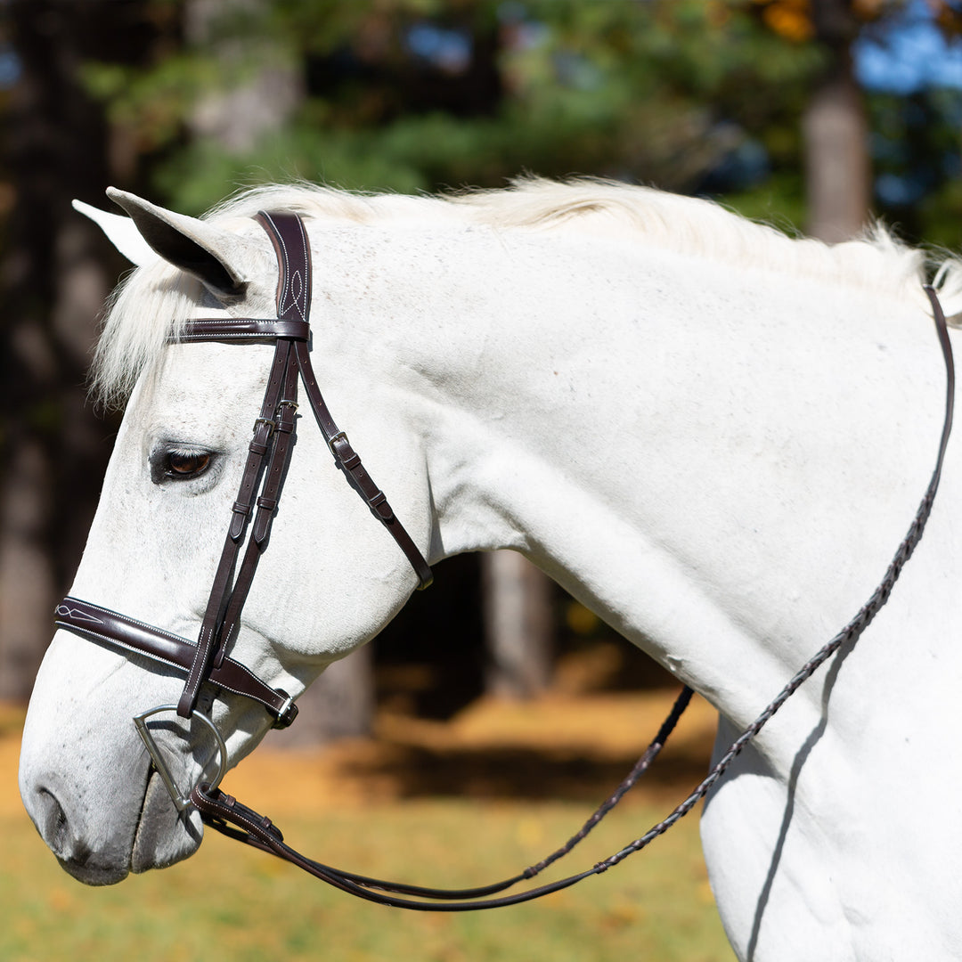 Equinavia Valkyrie Wide Noseband Hunter Bridle with Reins image 