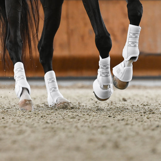 Veredus Absolute Easy Strap Rear Dressage Boots image 