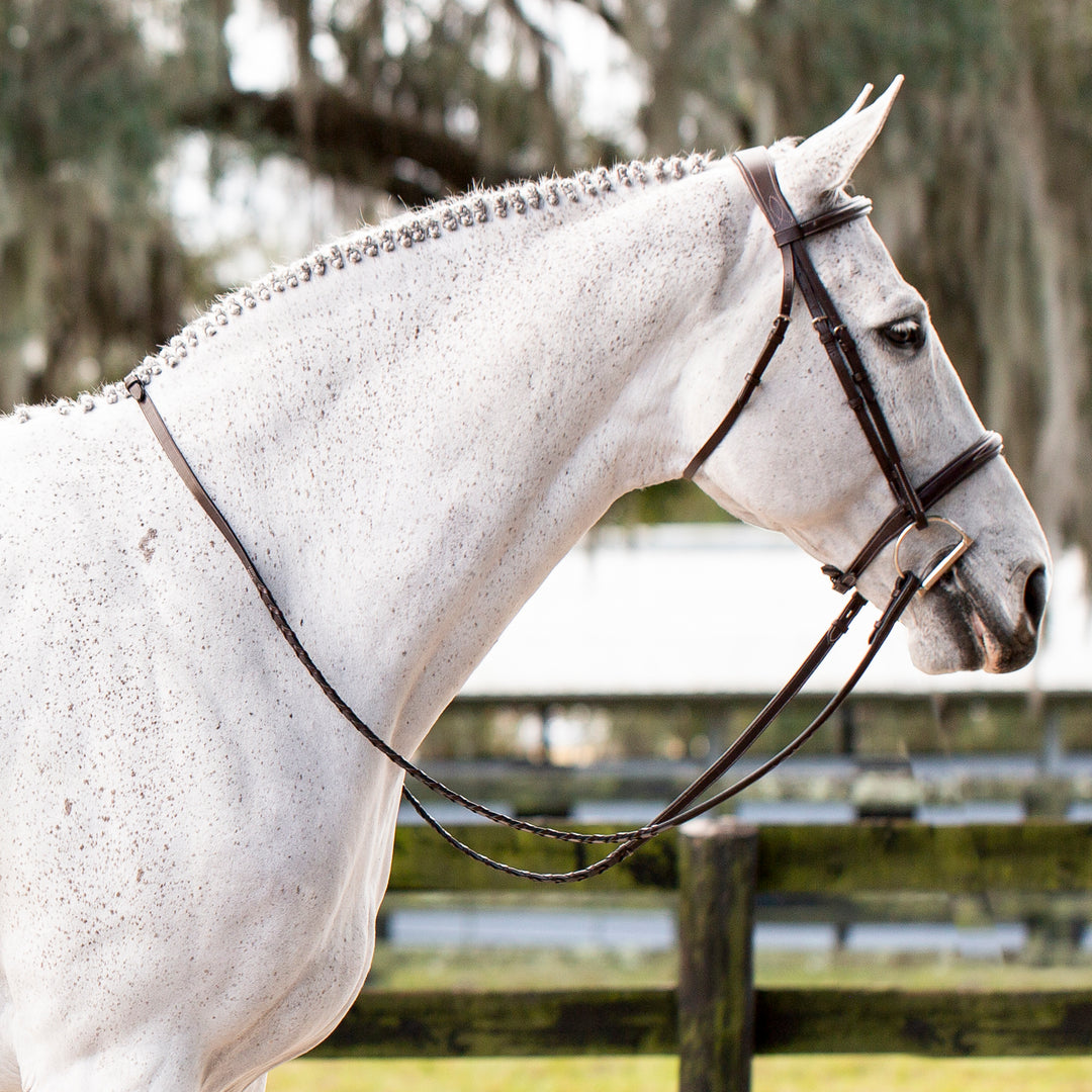 Equinavia Valkyrie Fancy Stitched Hunter Bridle &amp; Reins image 