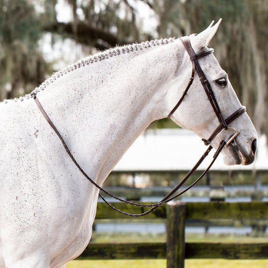 Equinavia Valkyrie Fancy Stitched Hunter Bridle &amp; Reins image 