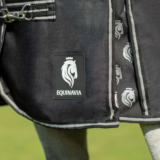 Equinavia Norse Mid Weight Turnout Blanket 200g image 