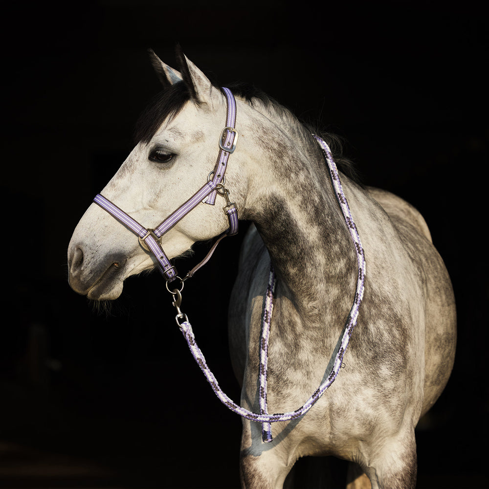Horze Adepto Halter image #2