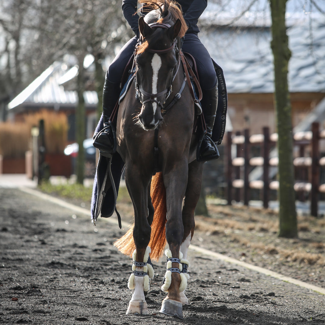 Veredus Carbon Gel Vento Save The Sheep Front Tendon Boots image 