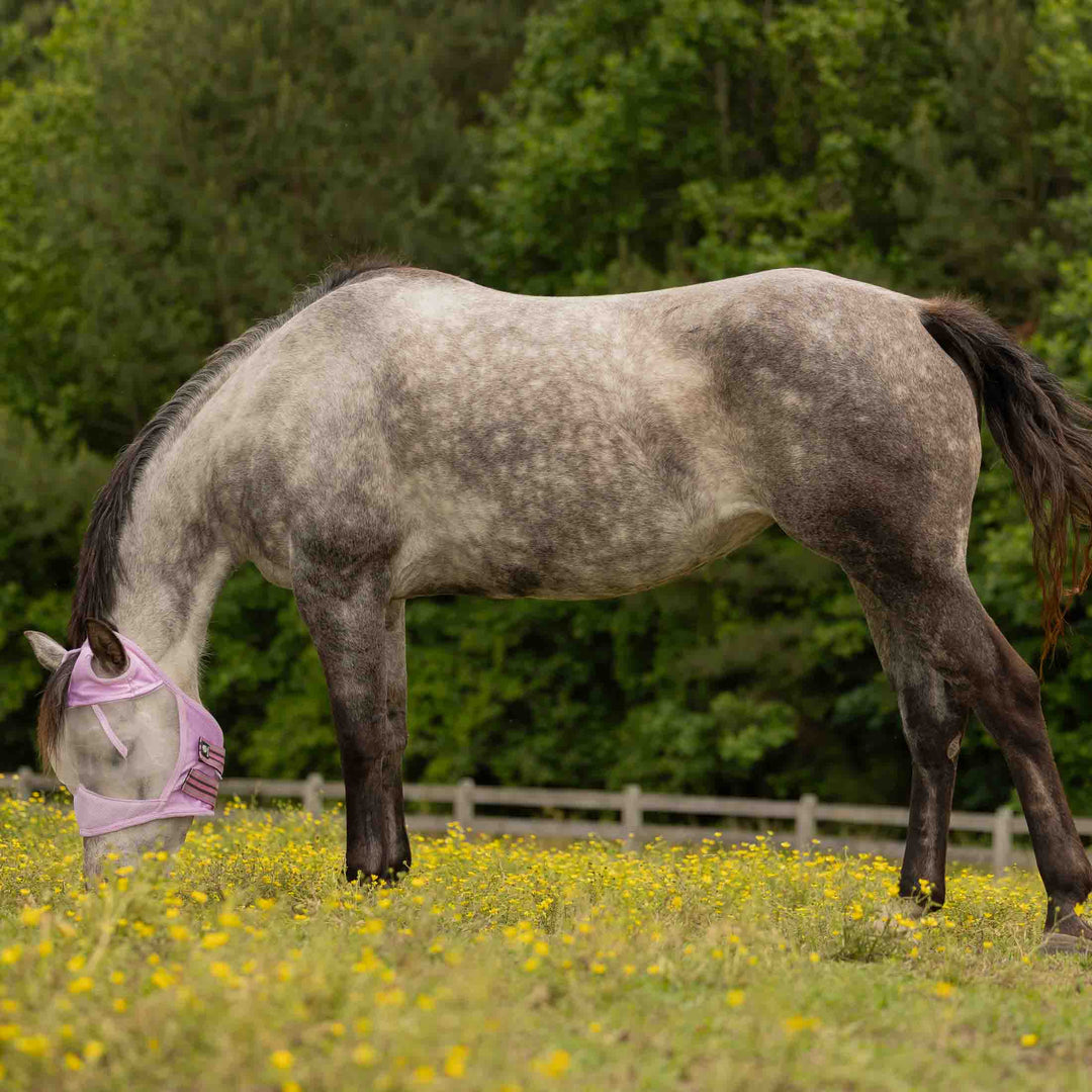 Equinavia Algard Soft Mesh Earless Fly Mask image 