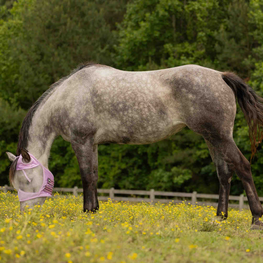 Equinavia Algard Soft Mesh Earless Fly Mask image 