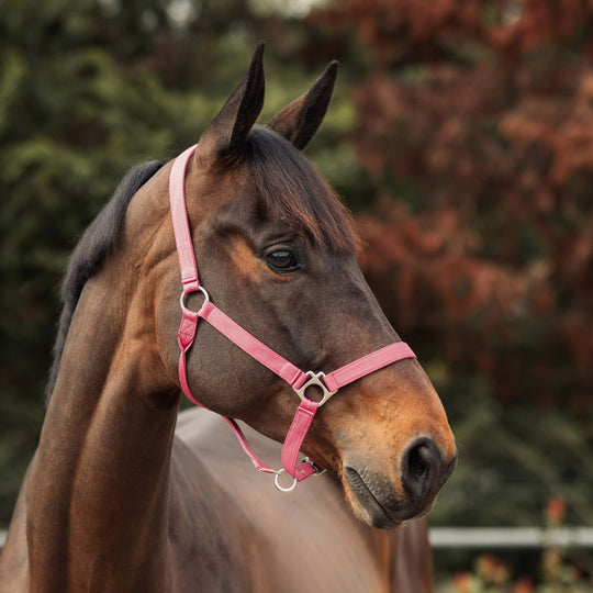 Horze Rose Tonique Halter image 