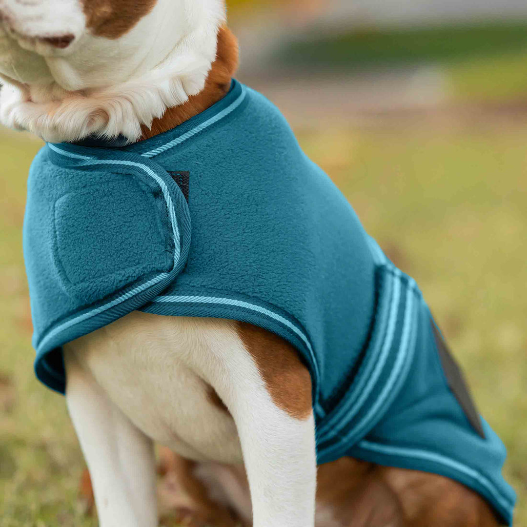 Equinavia Norse Fleece Dog Coat image 