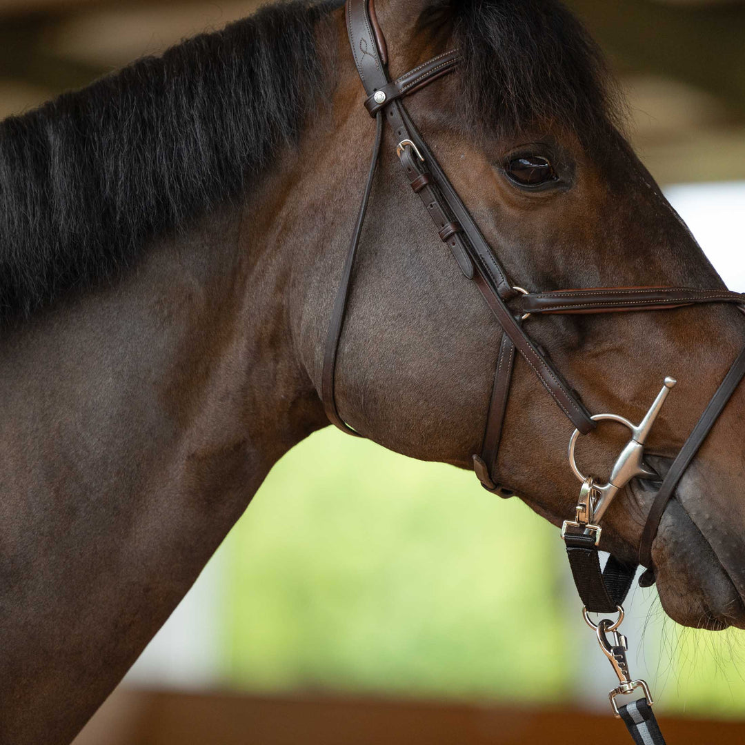 Horze Lunging Strap image 