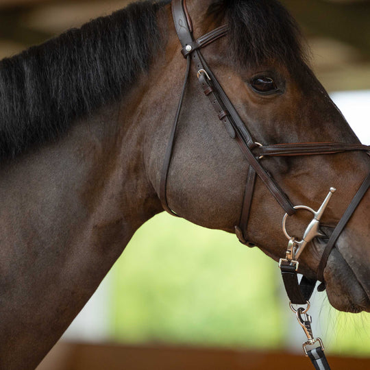 Horze Lunging Strap image 