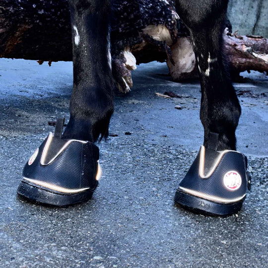 Equine Fusion Active Jogging Shoe Hoof Boot Pair image 