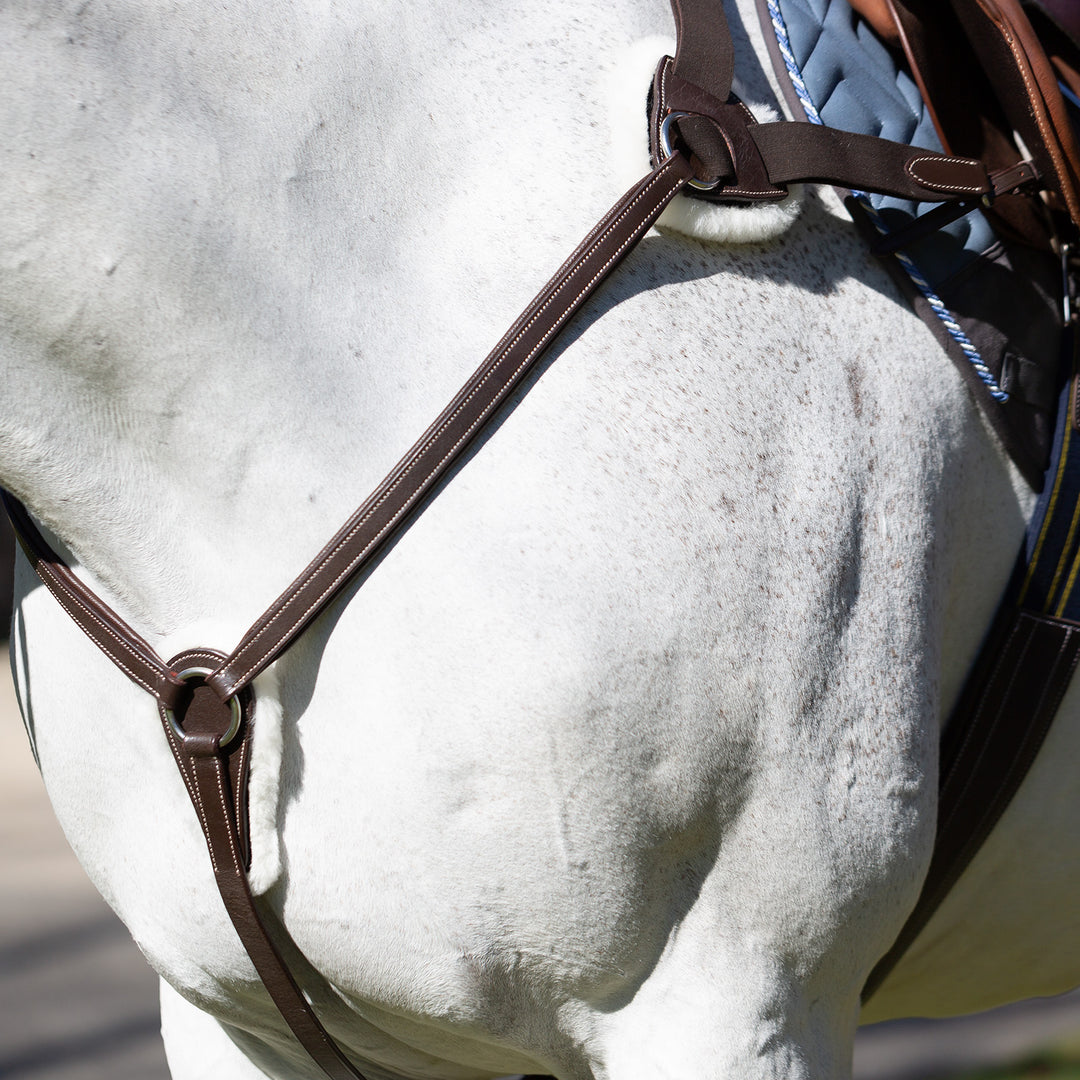 Equinavia Saga 5-point Breastplate image #1