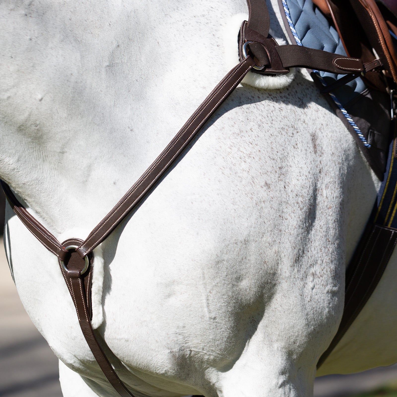 Equinavia Saga 5-point Breastplate image #1