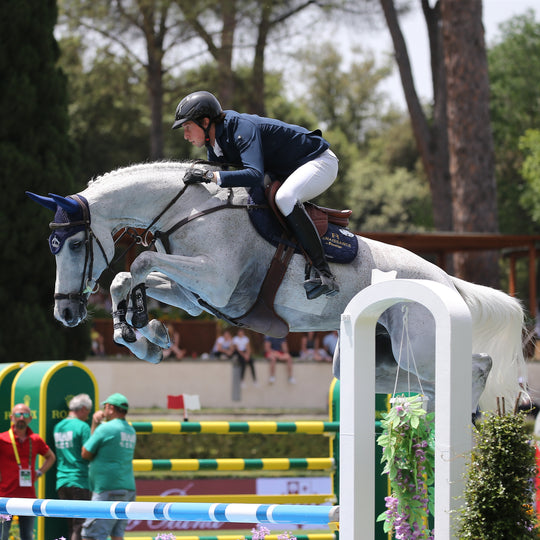 Veredus Carbon Gel Absolute Front Tendon Boots image 