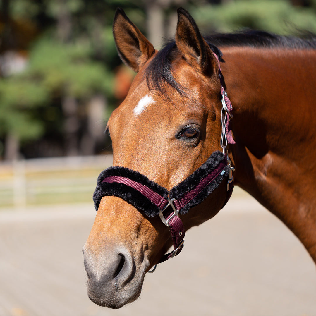 Equinavia Valkyrie Ultra Fleece Breakaway Halter image 