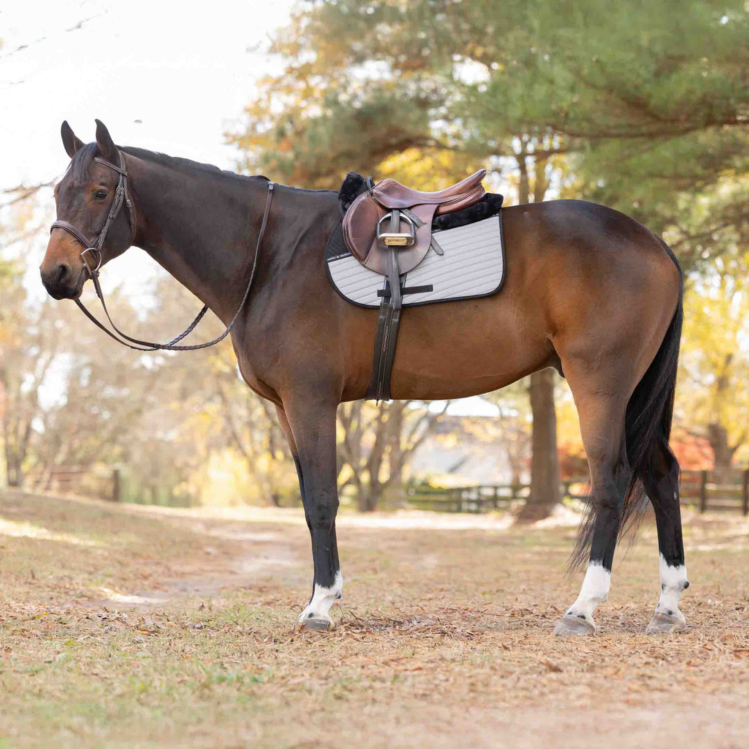 Equinavia Alta Reflective All Purpose Saddle Pad image 