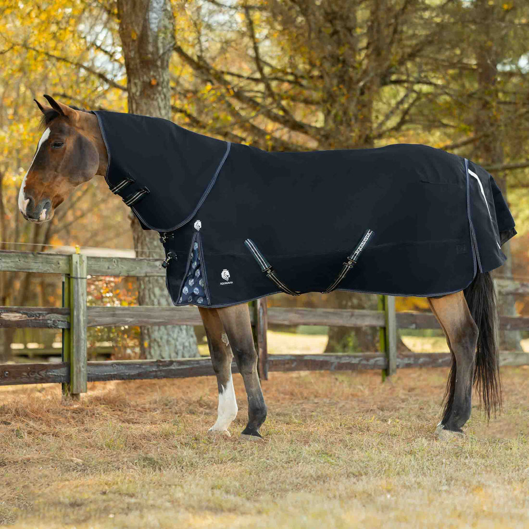 Equinavia Thunder 360 Detachable Neck Heavy Weight Turnout Blanket 300g image 