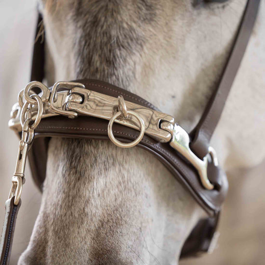 Equinavia Saga Lunge Cavesson image 