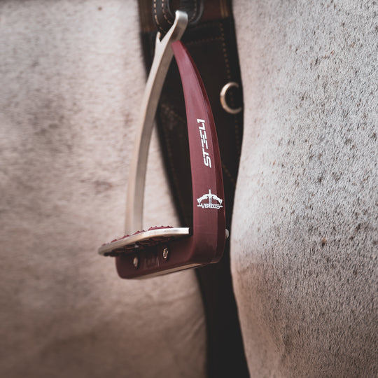 Veredus Vita Stirrup Steel1 image 