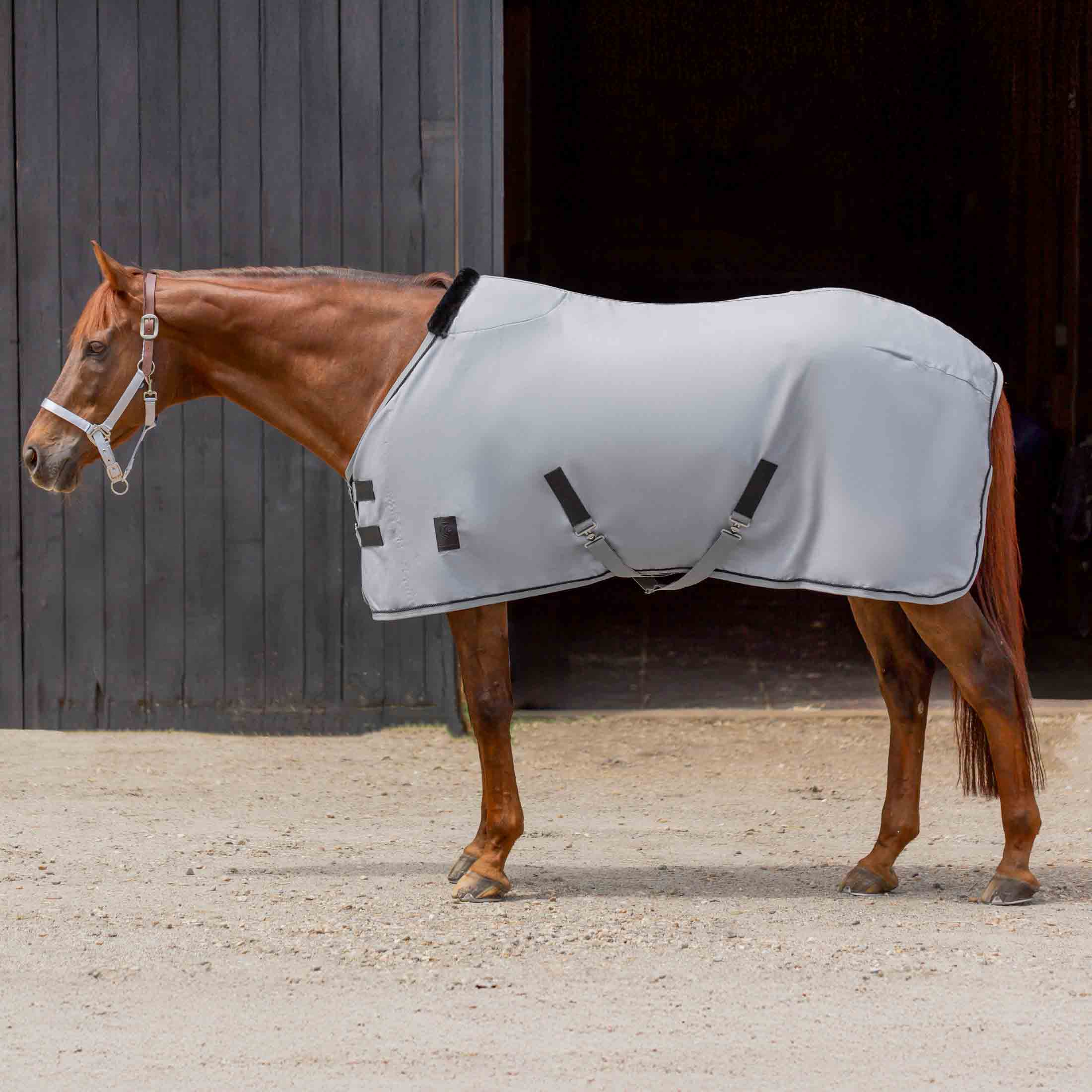 Equinavia Vind Stable Sheet image #1