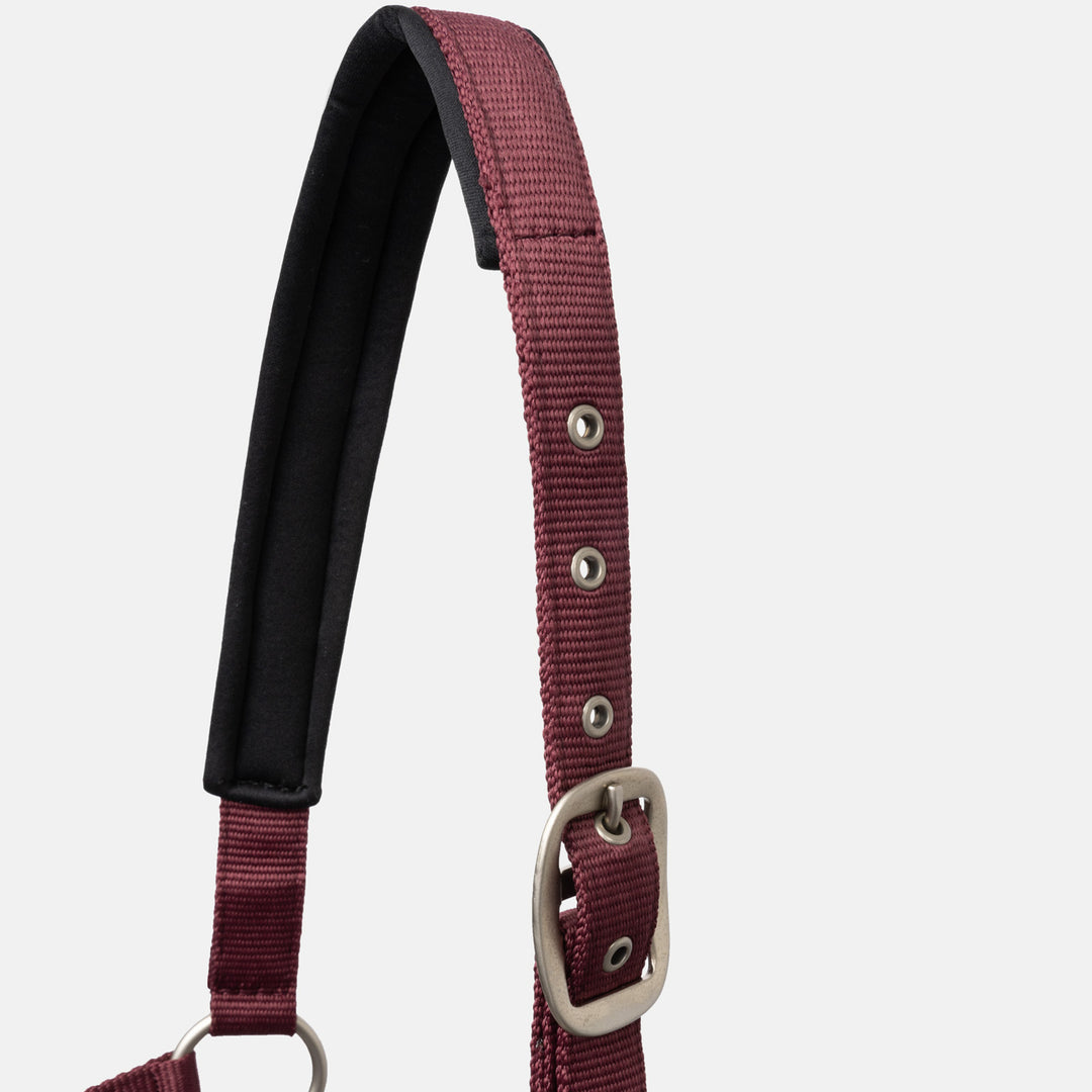 Horze Physical Sophistication Halter and Lead Set image 