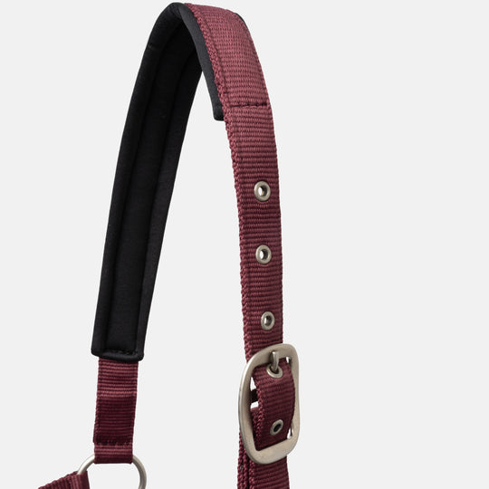 Horze Physical Sophistication Halter and Lead Set image 