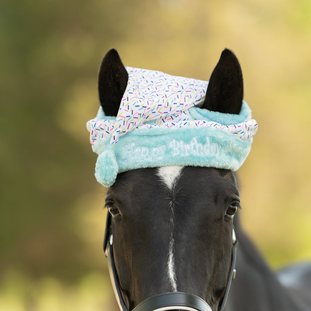 Equinavia Horse Birthday Hat image 