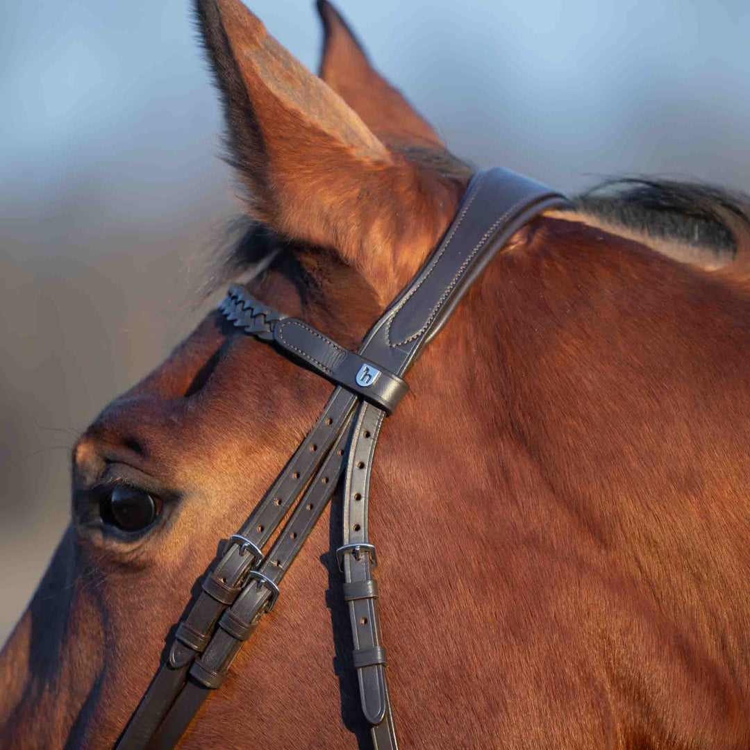Horze Beaufort Flash Bridle image 