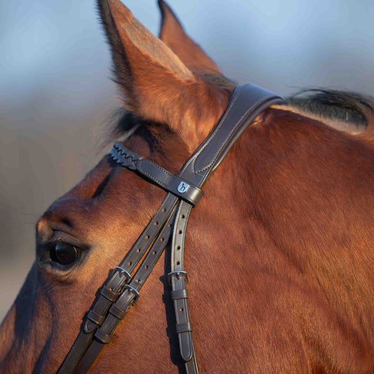Horze Beaufort Flash Bridle image 