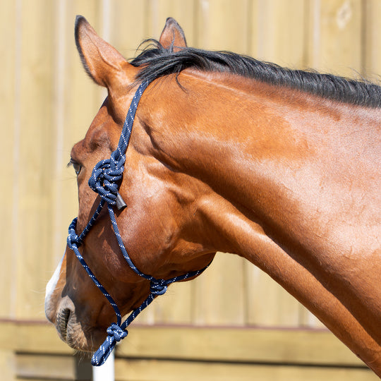 Equinavia Rope Halter image 
