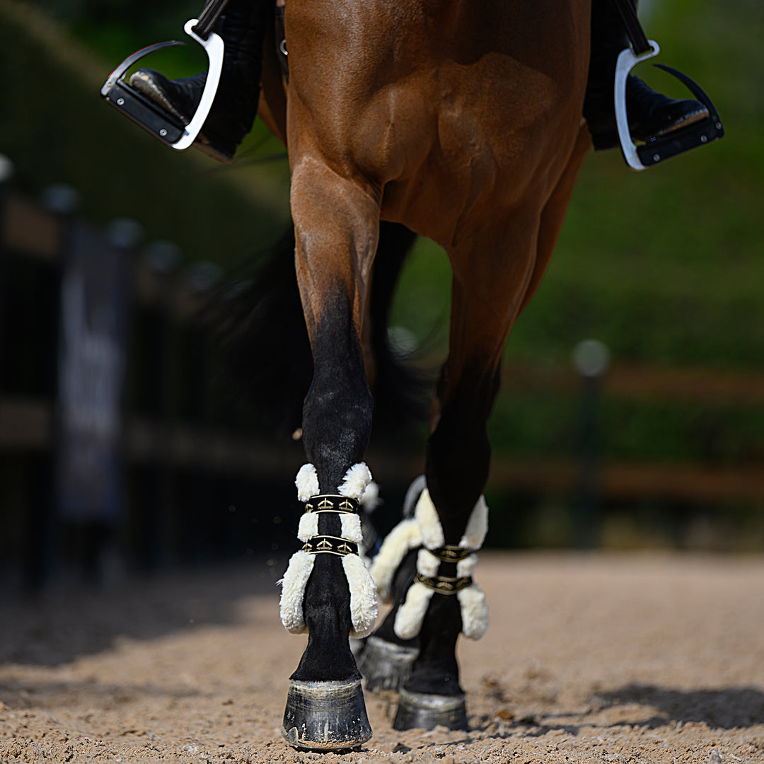 Veredus Carbon Gel Absolute Save the Sheep Front Tendon Boots image 